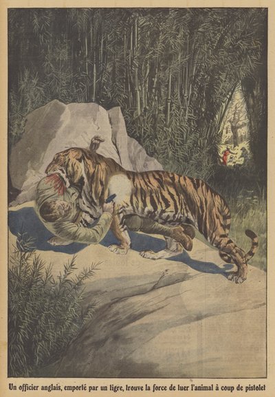 Brytyjski oficer, porwany przez tygrysa, znajduje siłę, by zabić zwierzę pistoletem (kolor lito) autorstwa French School