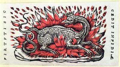 Salamandra, 1. poł. XVI w. autorstwa French School