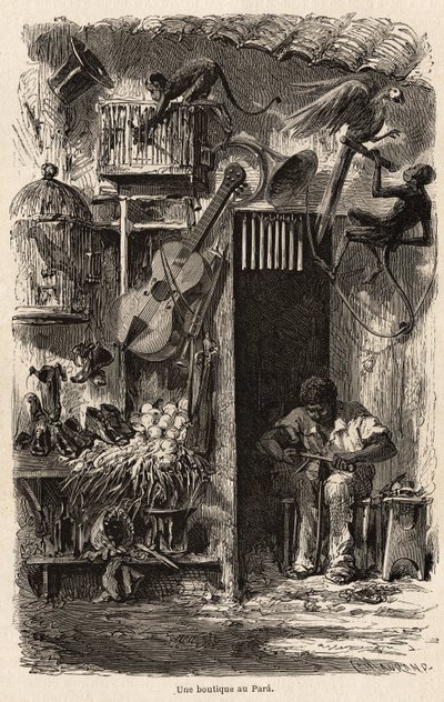 Sklep w Para, ilustracja do podróży pana Biarda do Brazylii w latach 1858-1859. Grawer w „Le tour du monde” 1861. Kolekcja Selvy. autorstwa French School