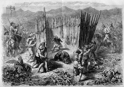 Polowanie na tygrysy na wyspie Jawa w 1862 r. Grawer „”Le Monde Illustré””n°251 z 1 lutego 1862 r. autorstwa French School