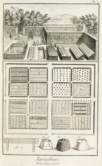 Ogród warzywny, z The Encyclopedia of Science, Art and Engineering Denisa Diderota (1713-84), c.1770 autorstwa French School