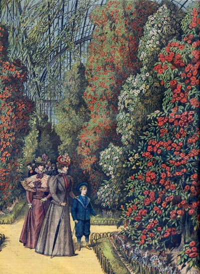 Ogród aklimatyzacyjny - la serre des camelias - szklarnia kamelii w ogrodzie botanicznym autorstwa French School