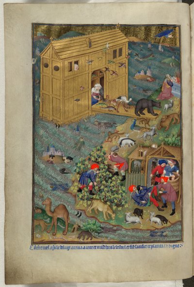 Dodaj Ms 18850 f.16v, Wyjście z arki, z Book of Hours (The Bedford Hours) c.1410-30 (tusz, kolor i złoto na welinie) autorstwa French School