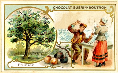 Chromolitografia reklamowa czekoladek Guérin Boutron (chromolitografia) autorstwa French School