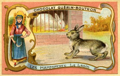 Chromolitografia reklamowa czekoladek Guerin Boutron, Ssaki, Klatka królika i dzika, Warren autorstwa French School