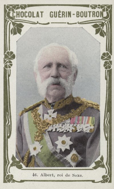 Albert, roi de Saxe (kolorowe zdjęcie) autorstwa French School
