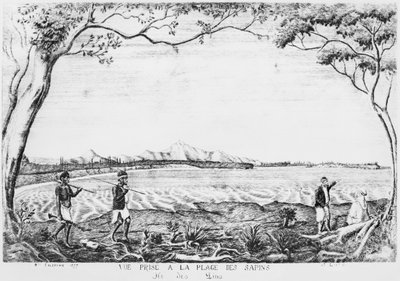 Album Isle of Pines, widok z plaży Pines, 1877 autorstwa French School