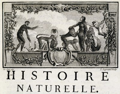 Alegoria historii naturalnej na małpach - w „Historii naturalnej, ogólnej i szczegółowej” Buffon autorstwa French School