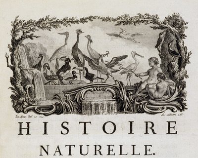 Alegoria historii naturalnej ptaków - w „Historii naturalnej, ogólnej i szczegółowej” Buffona autorstwa French School
