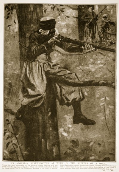 Algierski strzelec wyborowy przy pracy pod lasem, 1914-19 autorstwa French School