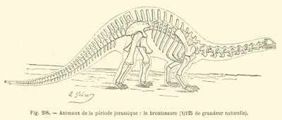 Zwierzęta okresu jurajskiego, Brontozaur (rycina) autorstwa French School
