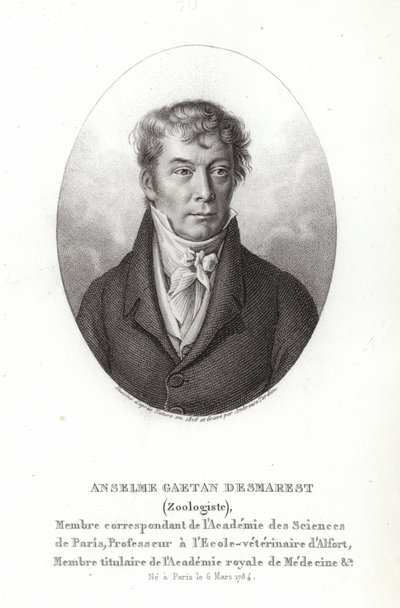 Anselme Gaetan Desmarest autorstwa French School