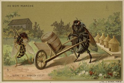 Karty Au Bon Marche przedstawiające antropomorficzne owady autorstwa French School