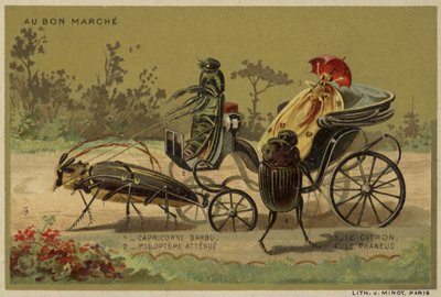 Karty Au Bon Marche przedstawiające antropomorficzne owady autorstwa French School