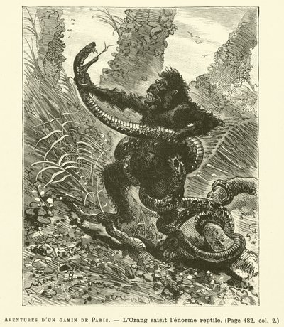 Przygody dzieciaka z Paryża (grafika) autorstwa French School