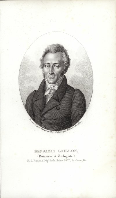 Benjamin Gaillon autorstwa French School