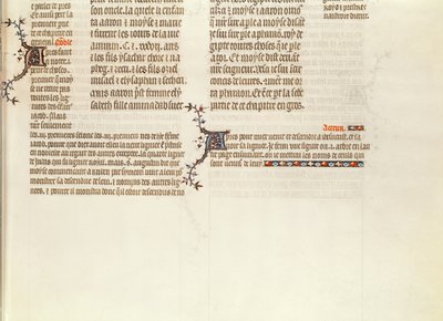 Dół strony bez miniatury, z Biblii Jana de Sy, ok. 1355 autorstwa French School