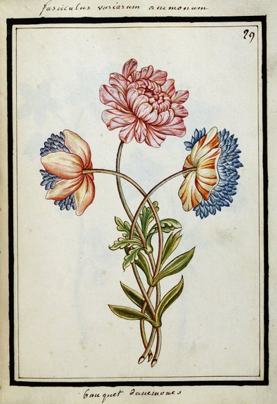 Bukiet zawilców, ok. 1700 autorstwa French School