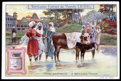 Uczty ślubne w Benares w Indiach - chromo. Liebig, t. 1895 autorstwa French School