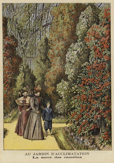 Szklarnia Camellia w ogrodzie botanicznym autorstwa French School