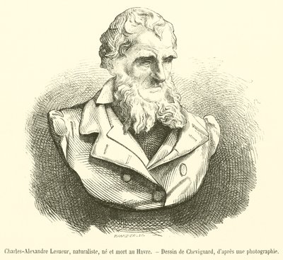 Charles-Alexandre Lesueur, przyrodnik, urodzony i zmarły w Le Havre (grafika) autorstwa French School