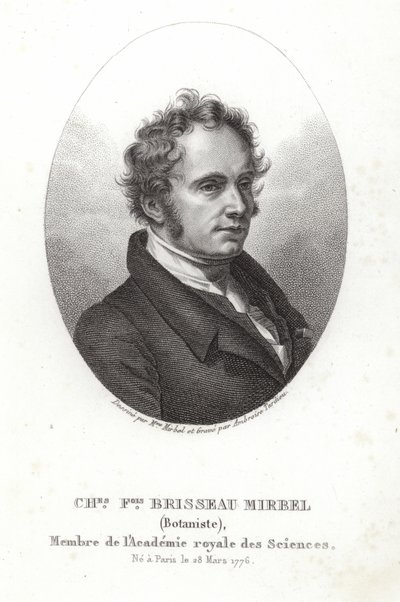 Charles-Francois Brisseau de Mirbel autorstwa French School