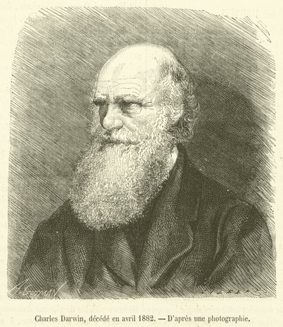 Karol Darwin, decede en avril 1882 (grawerowanie) autorstwa French School
