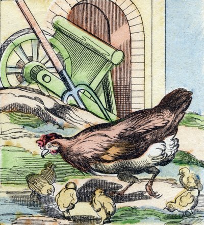 Kurczak i pisklęta. Grawerowanie w "Buffon Alphabet des Oiseaux n 2". 3. Seria N 2. Obrazowanie Epinal, Epinal, koniec XIX wieku. 16 stron. Wymiary: 28x21 cm autorstwa French School