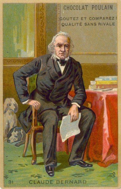 Claude Bernard, francuski fizjolog autorstwa French School