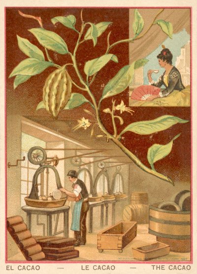 Kakao (chromolitho) autorstwa French School