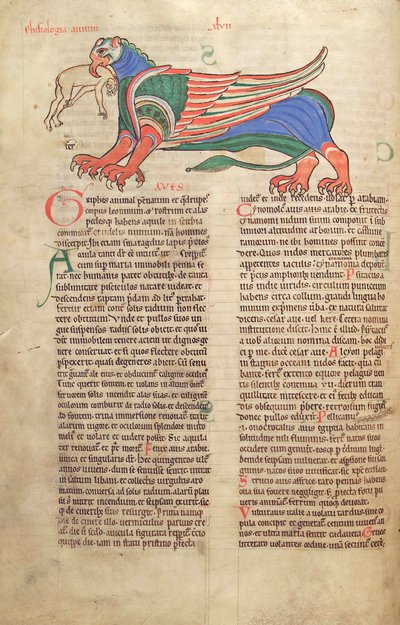 Dorsz. Guelfa. 1 Gud. łac. 39v, Gryf pożerający człowieka, z Liber Floridus Lamberta de Saint-Omer c.1120 autorstwa French School