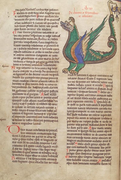 Dorsz. Guelfa. 1 Gud. łac. 40v, tekst z ilustracją smoka, z Liber Floridus Lamberta de Saint-Omer c.1120 autorstwa French School