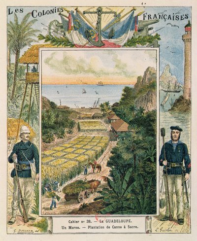 Okładka szkolnego zeszytu przedstawiającego plantację trzciny cukrowej na Gwadelupie, 1892 r. autorstwa French School