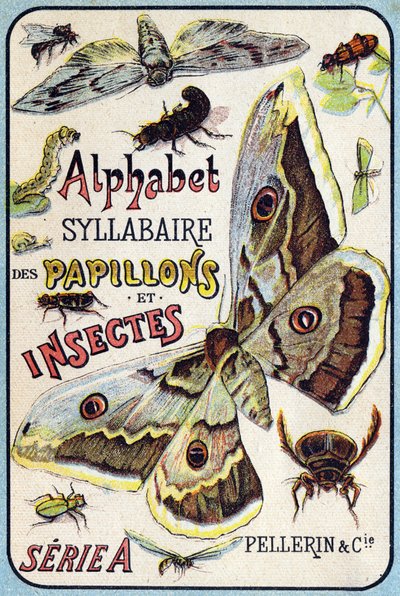 Okładka „Syllabary alfabetu motyli i owadów””. Serie A. Pellerin et Cie, drukarze-wydawcy, Epinal, koniec XIX wieku. Chromolitografie. Mały 8-stronicowy album reklamowy zawierający sylabariusz i obrazki wraz z tekstami opisowymi. D autorstwa French School