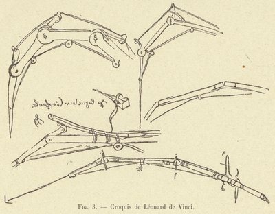 szkic Leonarda da Vinci autorstwa French School