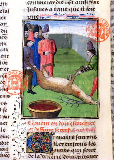 Odcinanie nóg martwego jelenia, z Livre de la Chasse Gastona Phebusa de Foix (1331-91) autorstwa French School