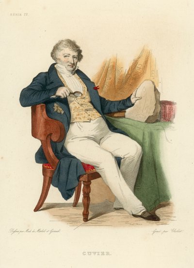 Cuvier (kolorowy grawer) autorstwa French School