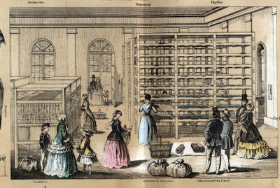Opis kultury i wyrobów jedwabnych: w centrum magneerie z różnymi etapami hodowli sery. Talerz „” la soie”” w „” les Recreations instructives”” Obraz synoptyczny Julesa Delbrucka, rycina z 1860 r. Kolekcja prywatna. autorstwa French School