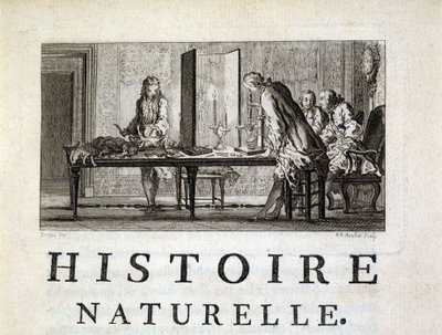 Sekcja zwierząt - w „Historii naturalnej, ogólnej i szczegółowej” Buffon autorstwa French School