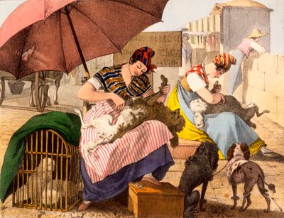 Strzyżenie psów, 1820 autorstwa French School