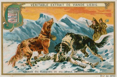 Psy Simplon i Mont St Bernard autorstwa French School