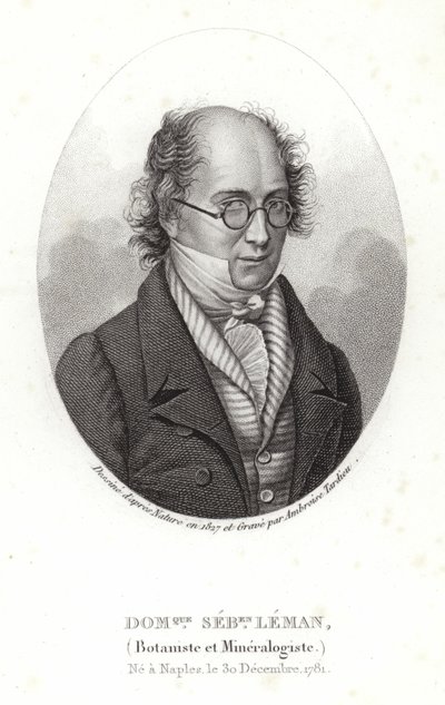 Dominique Sebastion Leman autorstwa French School