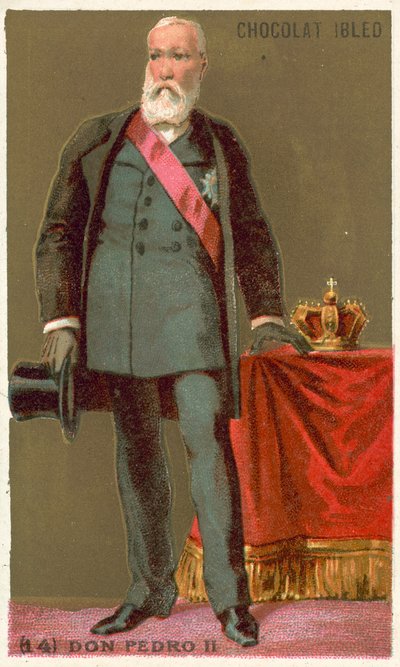 Don Pedro II, cesarz Brazylii autorstwa French School