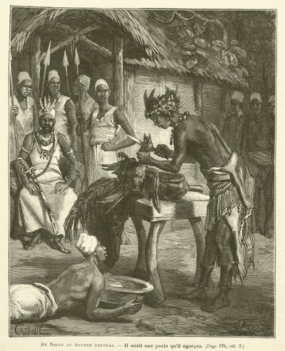 Z Nigru do Sudanu Środkowego autorstwa French School