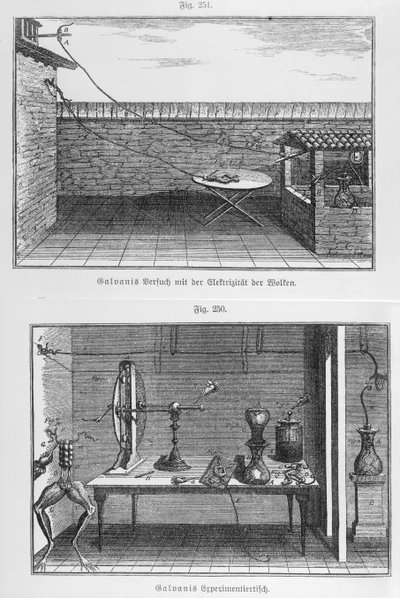 Eksperyment na żabach Louisa Galvaniego (1737-98) koniec XVIII wieku autorstwa French School