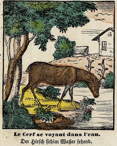 Fables de La Fontaine: jelenie widzące siebie w wodzie. Wizerunek Epinal, pierwsza połowa XIX wieku autorstwa French School