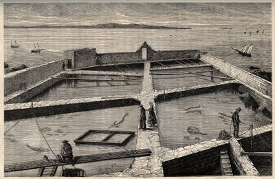 Hodowla ryb w Concarneau - Bretania - Establishment de pisciculture - Concarneau - Finistere - Bretania - grawerowanie w „” PATRIE” - OBRAZ OPIS FRANCJI W 6 TOMACH: LUCIEN HUARD - koniec XIX wieku autorstwa French School