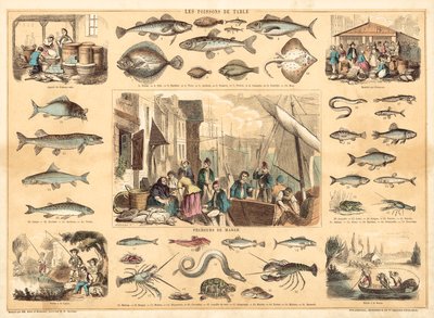Ryby (litografia kolorowa) autorstwa French School