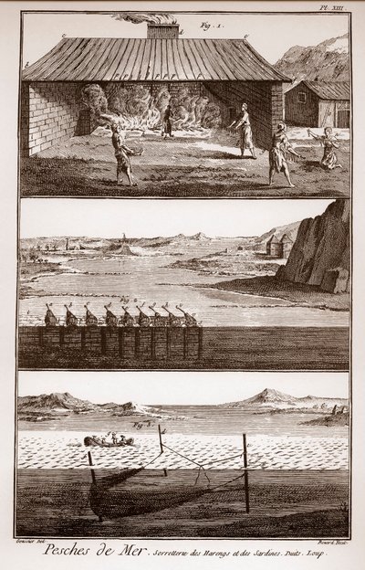 Wędkarstwo, śledzie i sardynki - Peches de Mer - Sorretterie des herring et des sardines - „” La Grande Encyclopédie, ou Dictionnaire Raisonne des Sciences, des Arts et des Metiers”” (Encyklopedia lub Słownik Nauk, Sztuki i Zawodów) autorstwa Deni autorstwa French School