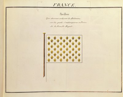 Flaga księcia rodziny królewskiej z Pavillons des Puissances Maritimes (kolor grawerowany) autorstwa French School